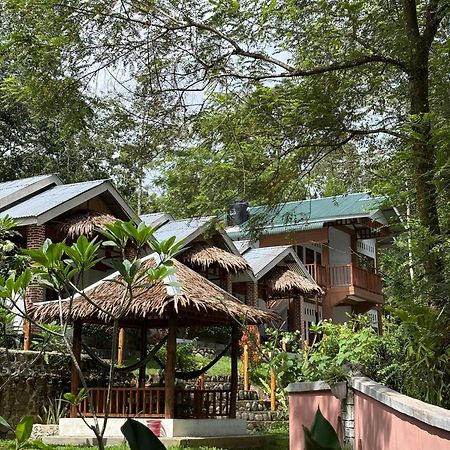 Asim Paris Guesthouse & Jungle Trekking Bukit Lawang Kültér fotó