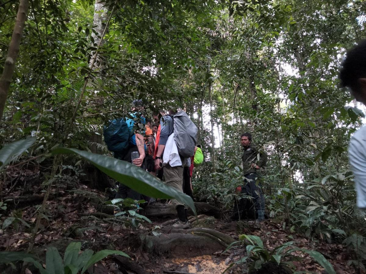 Asim Paris Guesthouse & Jungle Trekking Bukit Lawang Kültér fotó
