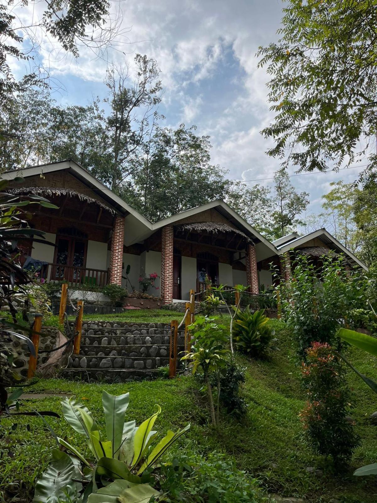 Asim Paris Guesthouse & Jungle Trekking Bukit Lawang Kültér fotó