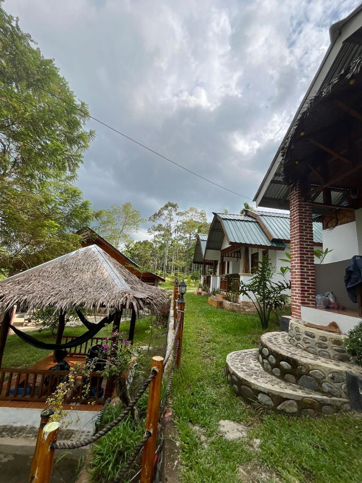 Asim Paris Guesthouse & Jungle Trekking Bukit Lawang Kültér fotó
