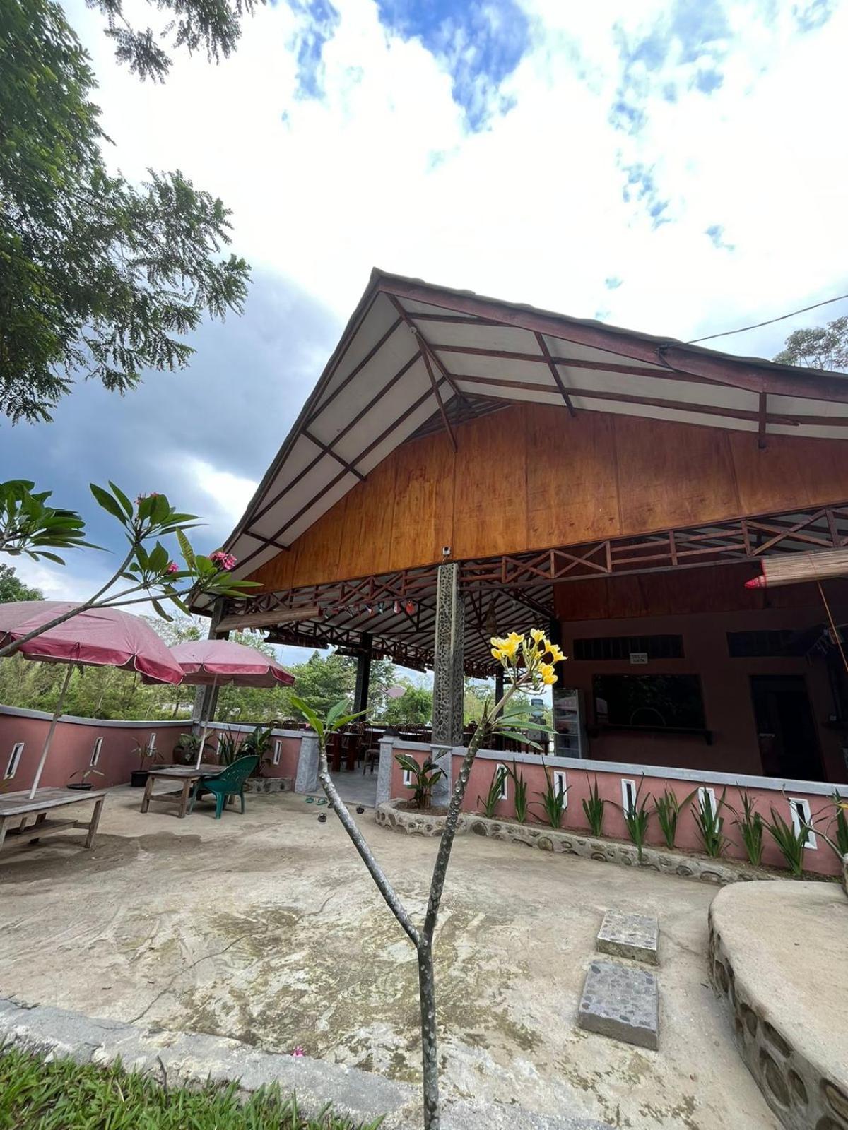 Asim Paris Guesthouse & Jungle Trekking Bukit Lawang Kültér fotó