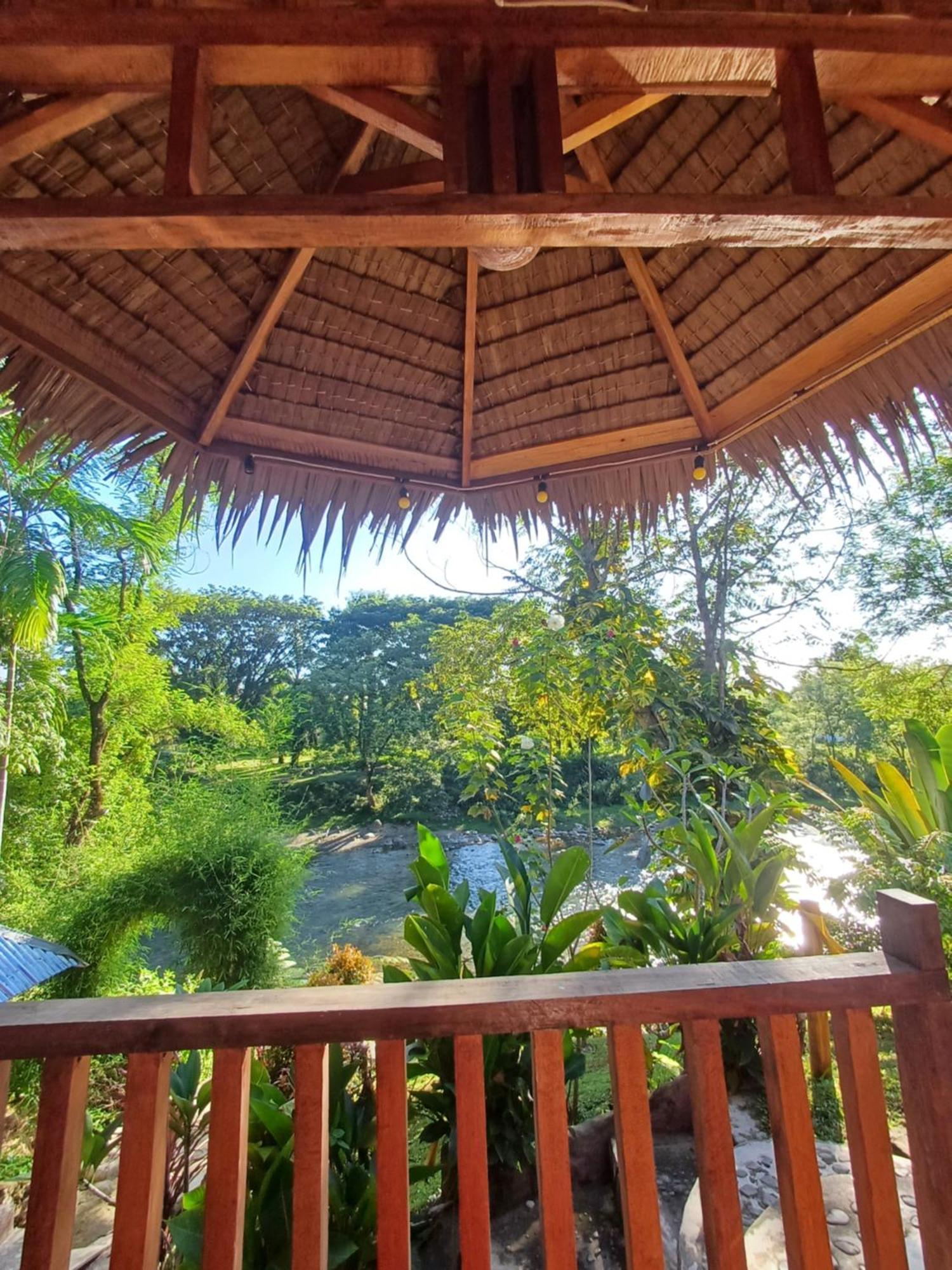 Asim Paris Guesthouse & Jungle Trekking Bukit Lawang Kültér fotó