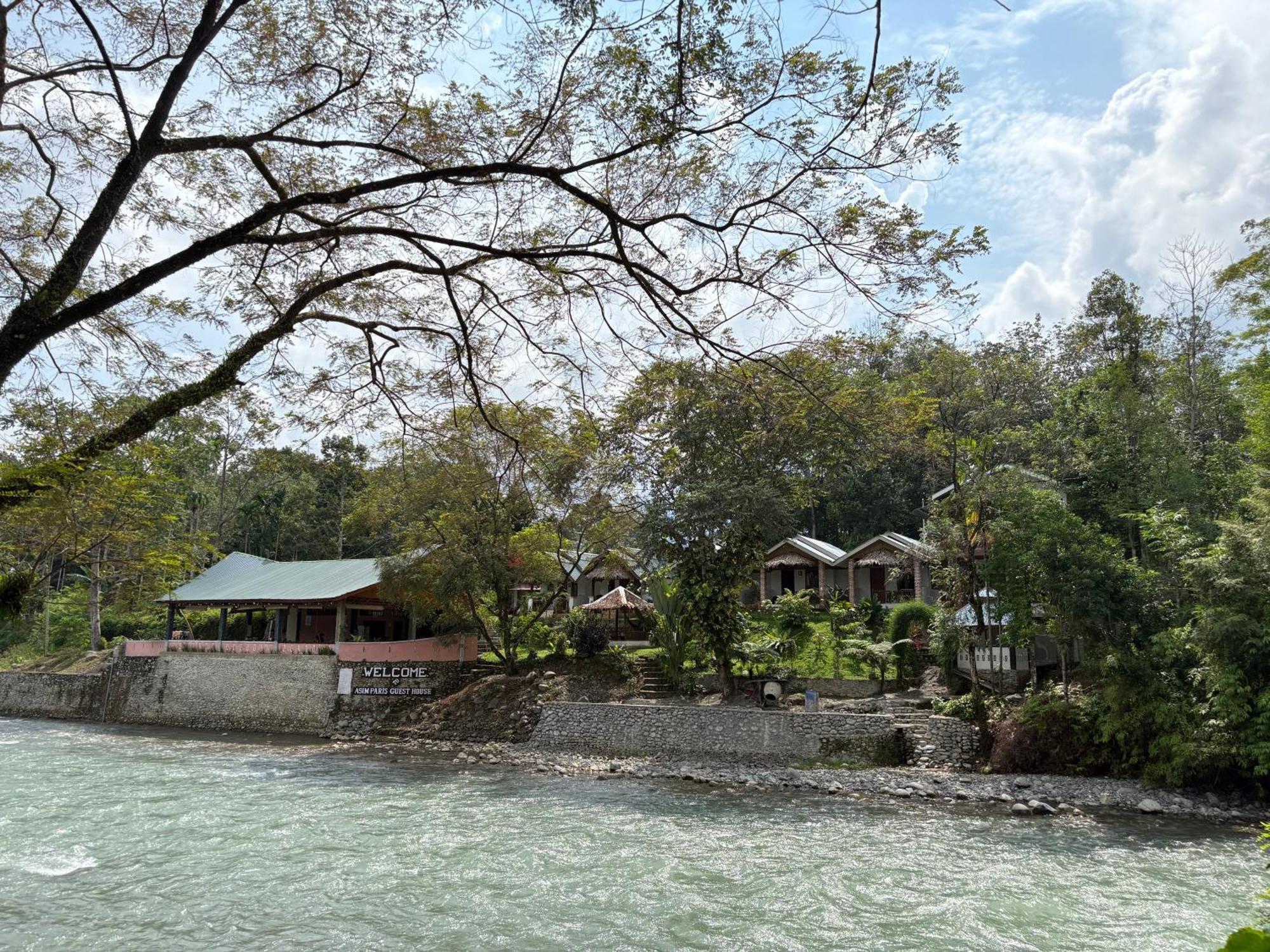 Asim Paris Guesthouse & Jungle Trekking Bukit Lawang Kültér fotó